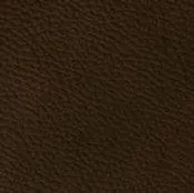 22 Longlife Rustika Brasil Leather Swatch