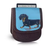 Dachshund