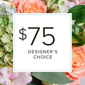 Designer's Choice $75