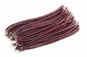 Asparagus Bean: F95-37-12