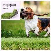 Basset