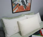Natural Latex Foam Pillow