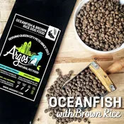 Oceanfish &amp; Brown Rice