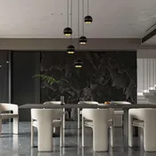 Aluminum and Iron Black Pendant 5-Lights with Acrylic Shade
