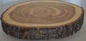Balm of Gilead Wood Slice 16" to 18" Plus x 1 1/2"-2 Inch Thick With Food Grade Finish