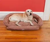 EZ-Wash Check Headrest Memory Foam Dog Bed - Over 50% off