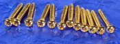 12 Generic Gold Plated Steel Tailpiece Mounting Screws .795", #GGP