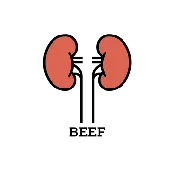 Beef Kidneys