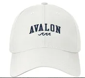 Avalon “Small” Cool Fit Wave Hat White w/navy