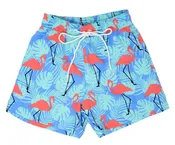 Adoretex Boy's Flamingo Printed Beach Board Shorts (MP018)