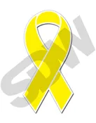 7″ Windshield Ribbon Decals 12pk 16-129-Yellow