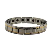 Classic Steel Gold Trim Bracelet