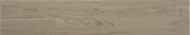 Ninsba Camel 12X60 — Richmond Tile