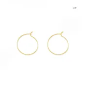 Aiko Hoop Earrings