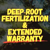 Deep-Root Fertilization & Extended Warranty