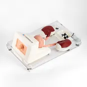 KUBP Trainer