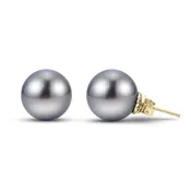 14K Crown Tahitian Stud (Select Pearl Size, & Gold Color)