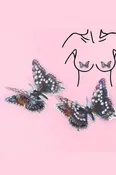 3D Butterfly Nipple Pasties