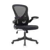 Black Mesh Office Chair with Lumbar Support and Flip-Up Arms
