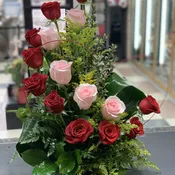 Rose Romance