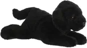 12" Black lab