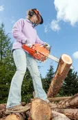Chain Saw Operations (Portable), 8 CCR 6283