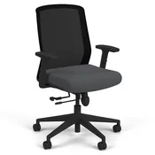 Cass Ergonomic Task Chair