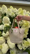 LBI Petite Bucket Bag — SinkRSwim