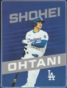 Twin Dodgers Shohei Ohtani Plush Blanket