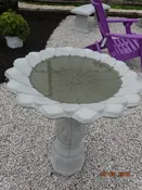 Daisy Bowl with Fernleaf Base