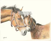 Affection