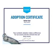 Harbor Seal Certificate Adoption