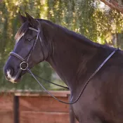 Bobby's Fancy Stitch Hunter Bridle — Greenway Saddlery