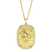 0.02Ct Diamond Zodiac Capricorn Sea Goat Star Matte Chopin Chain Necklace