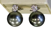 Pearl Studded Earrings