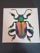 10×10″ Frog Legged Beetle Painting