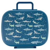Bento Box with Removable Tray: Shark