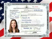 OBYWATELSTWO USA – KURS DLA POLONII