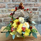 Fall Bird Song