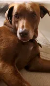 Contest -Amber Rose Atherton