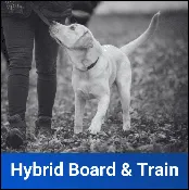 Hybrid Board and Train