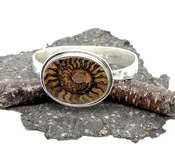 Ammonite Bracelet Top