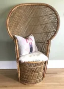 Rattan Peacock Chair — The Attic