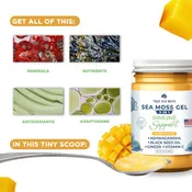 5 in 1 Immune Support Sea Moss Gel Mango 16 oz (Glass Jar)