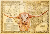 1876 Cattle Trails Map, Longhorn Edition