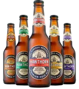 Beer Labels