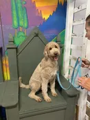 Out on the Town class — Therapy Partners