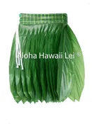 Child's Ti Leaf Skirt