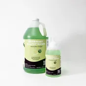 Veterinary Healthy Hands Soap Honeydew Delight