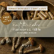 10/11 Meet the Maker: Mushrooms &amp;amp; Midlife with Amber Hanson